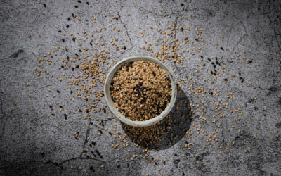 Kalziummangel bei veganer Ernährung?